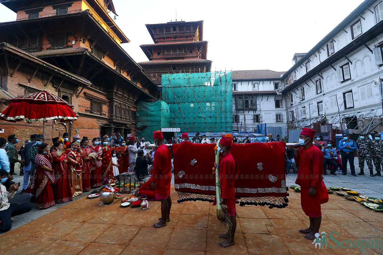 गोरखाबाट ल्याइएको फूलपाती हनुमानढोका दरबारमा भित्र्याइँदै। तस्बिरः नवीनबाबु गुरुङ/सेतोपाटी